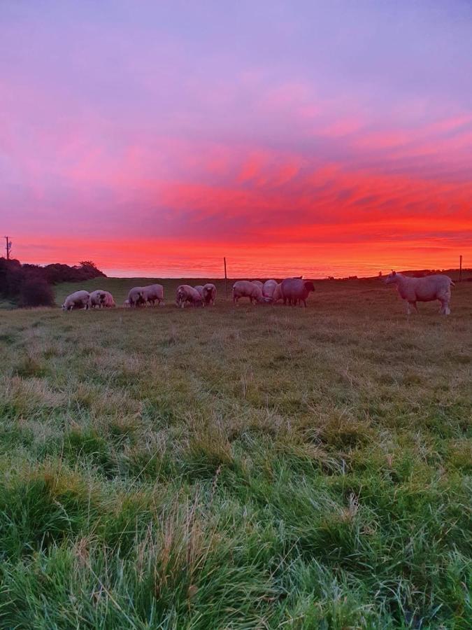 Claragh Cottage Cavan Esterno foto