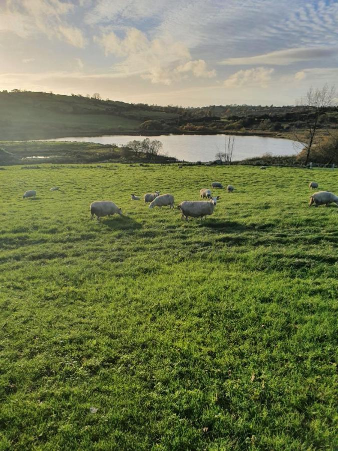 Claragh Cottage Cavan Esterno foto