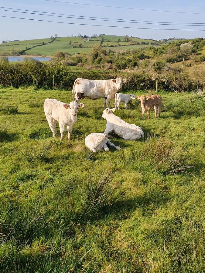 Claragh Cottage Cavan Esterno foto