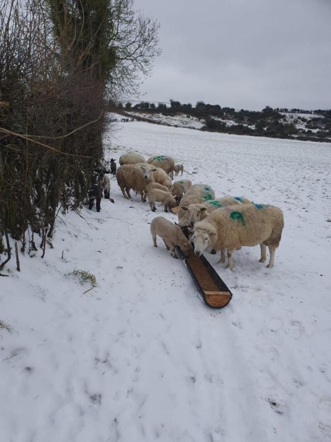 Claragh Cottage Cavan Esterno foto